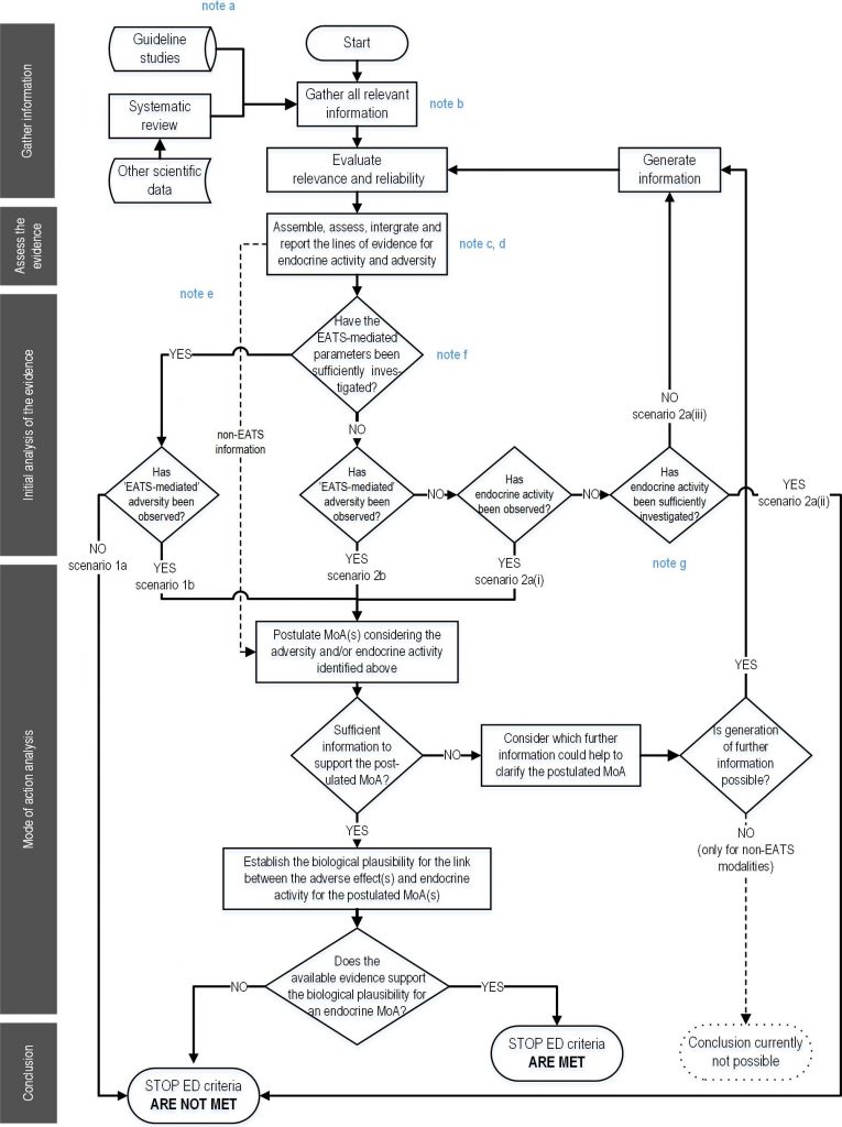 Flow chart illustrating the ED assessment strategy